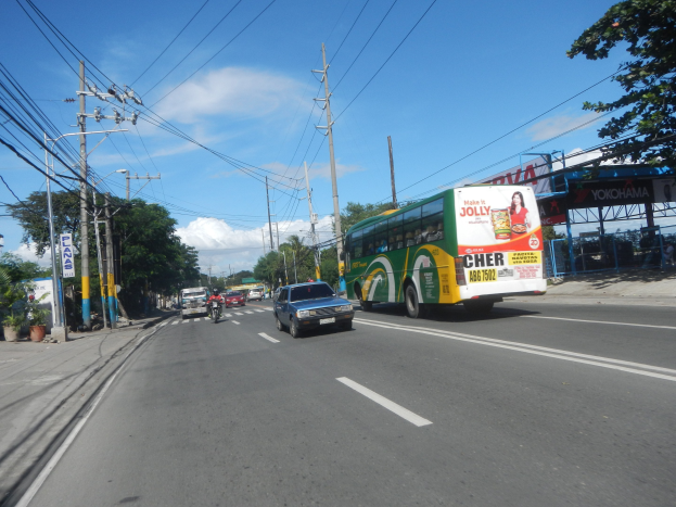 Ein grüner Bus fährt eine Straße mit Strommasten, Leitungen, Bäumen, Pflanzen, Brettern und einer Hütte, unter einem bewölkten Himmel.
