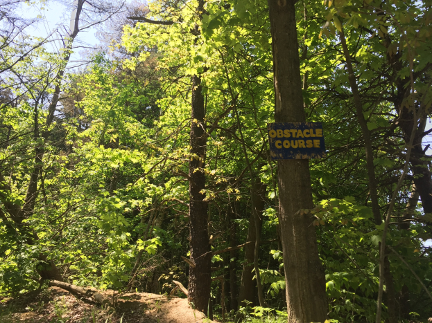 Ein Schotterweg in einem bewaldeten Gebiet, der von einem hölzernen Schild mit der Aufschrift "Hindernislauf" markiert ist, umgeben von Bäumen auf beiden Seiten und einem sichtbaren Himmel im Hintergrund.