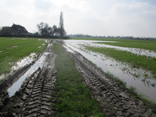 Schlammige Straße in einem grasbewachsenen Feld, das von Wasser umgeben ist, mit Bäumen, Häusern und bewölktem Himmel im Hintergrund.