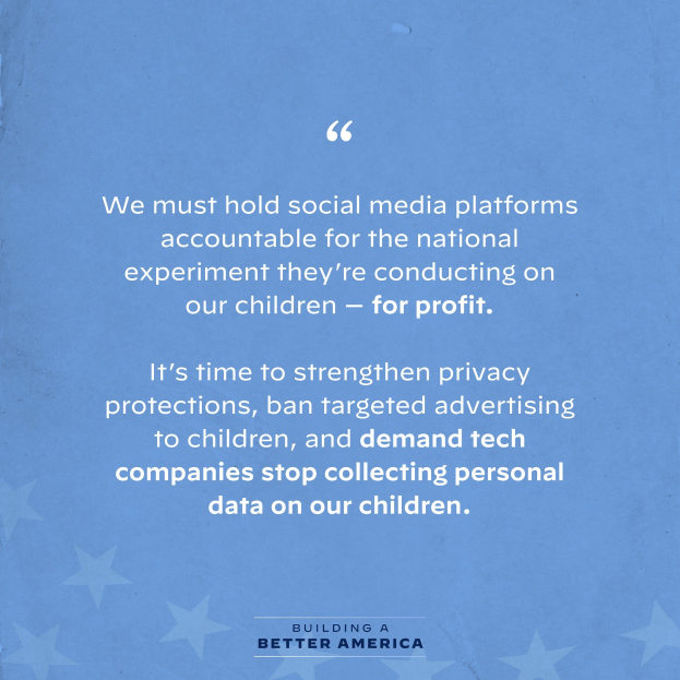 Plakat mit einem Zitat aus Building a Better America, das besagt, "Wir müssen die sozialen Medien-Plattformen für das nationale Experiment zur Rechenschaft ziehen, das sie an unseren Kindern durchführen - zum Profit", verziert mit Sternen.