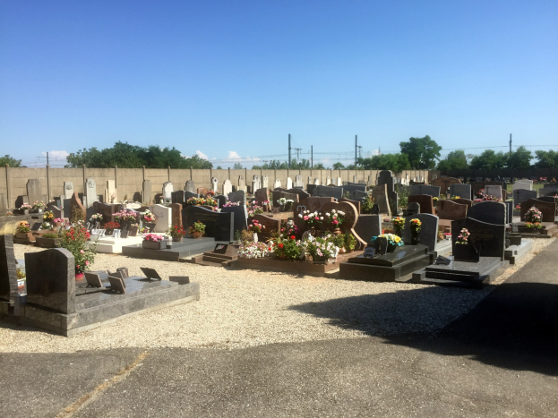 Friedhof mit zahlreichen Grabsteinen, geschmückt mit Blumen, einer fernen Wand, Stromleitungen auf Masten, verstreuten Bäumen und einem bewölkten Himmel.