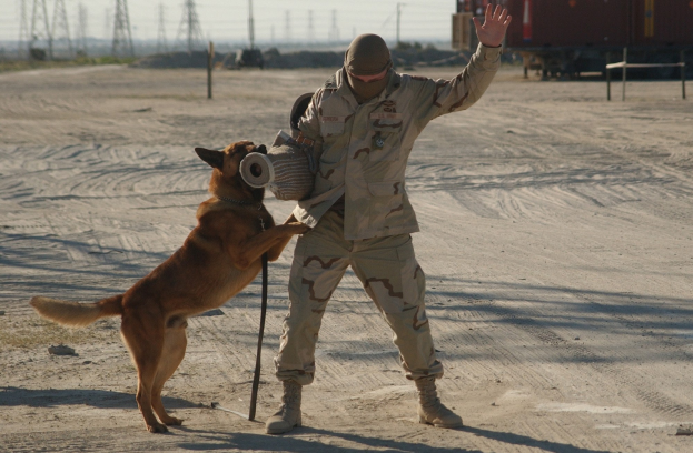 Ein Mann in militärischer Uniform spielt mit einem Hund an der Leine und hält ein Objekt, mit einem Zug und Infrastruktur im Hintergrund.