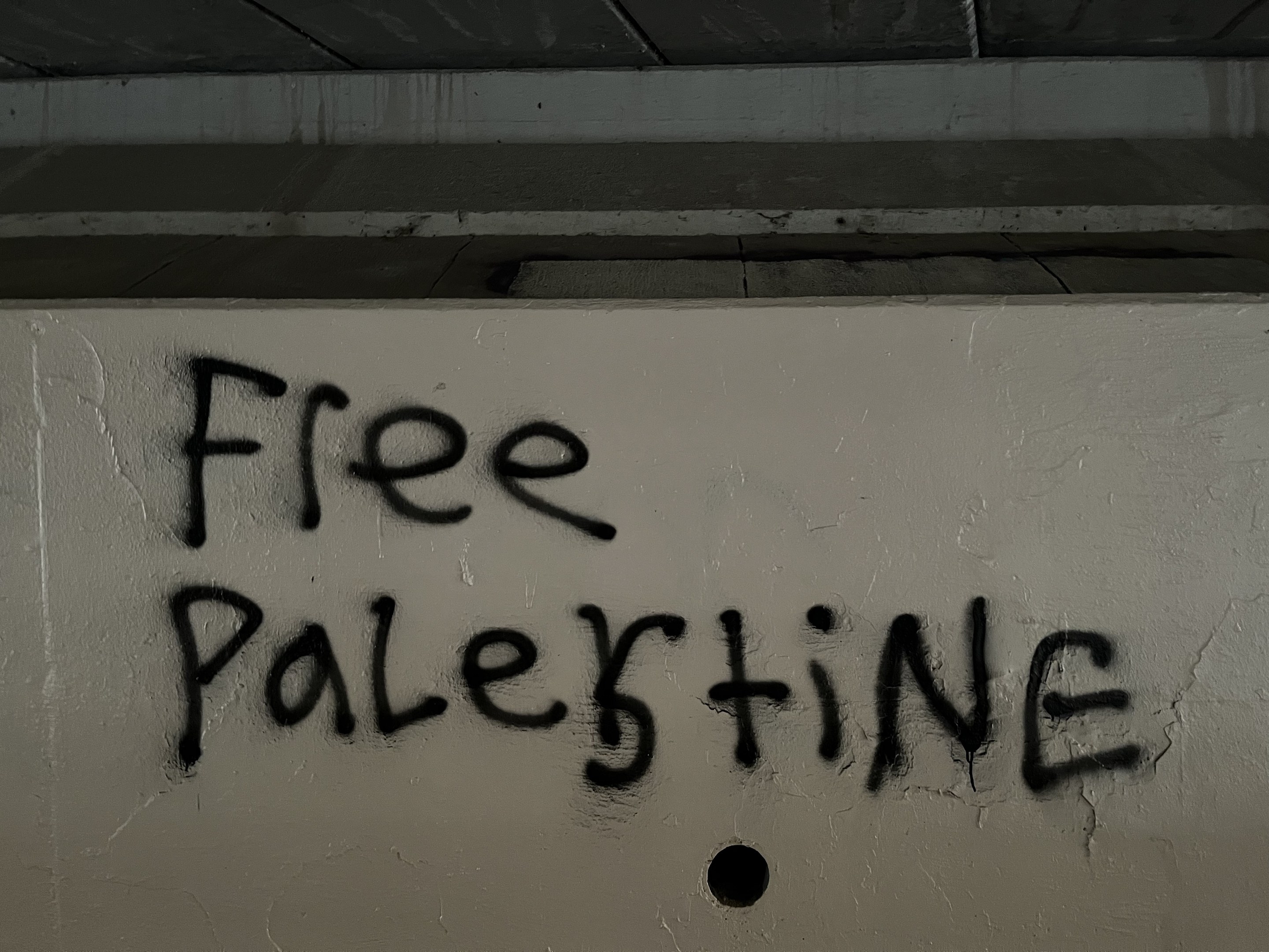 Schwarze Graffiti-Schriftzug 'free palestine' an einer Wand.