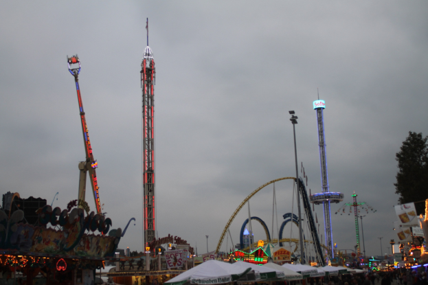 Menge Menschen bei nächtlichem Karneval mit beleuchteten Fahrgeschäften, Polen und Bäumen unter einem bewölkten Himmel.