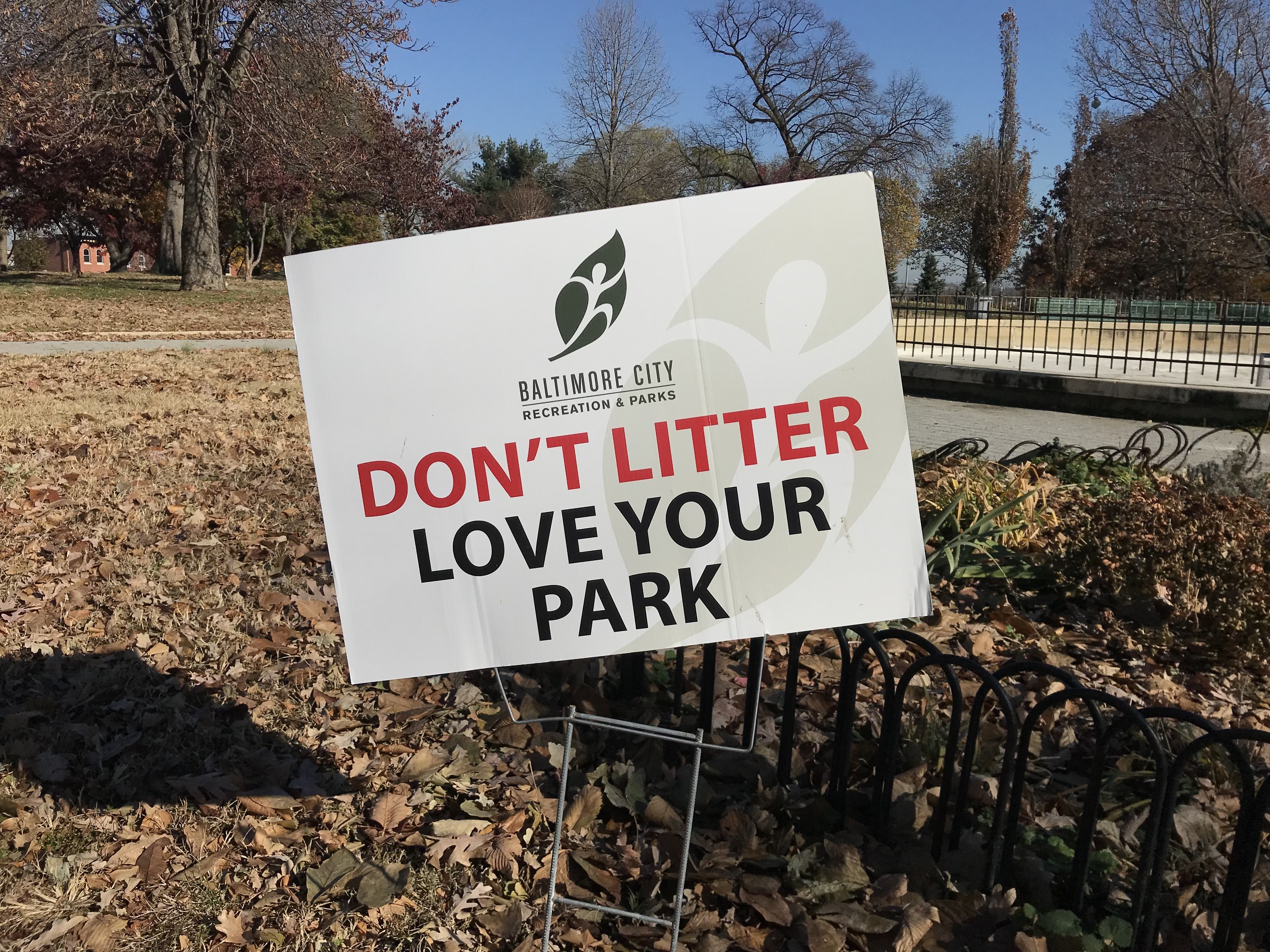 Müll, Grillreste und Beschwerden: Wird der Mainzer Volkspark immer dreckiger?