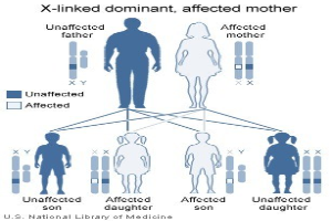 Diagramm eines X-chromosomal dominanten Familienstammbaums mit einer betroffenen Mutter und verwandten genetischen Vererbungsinformationen.