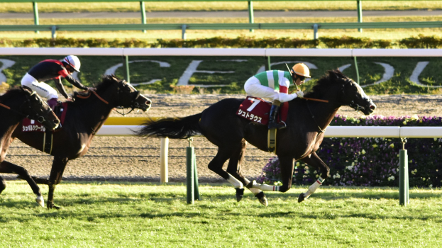 Zwei Jockeys in Helmen lassen Pferde auf einer von Grün umgebenen Bahn galoppieren, mit einem Geländer und einer Tafel im Hintergrund.