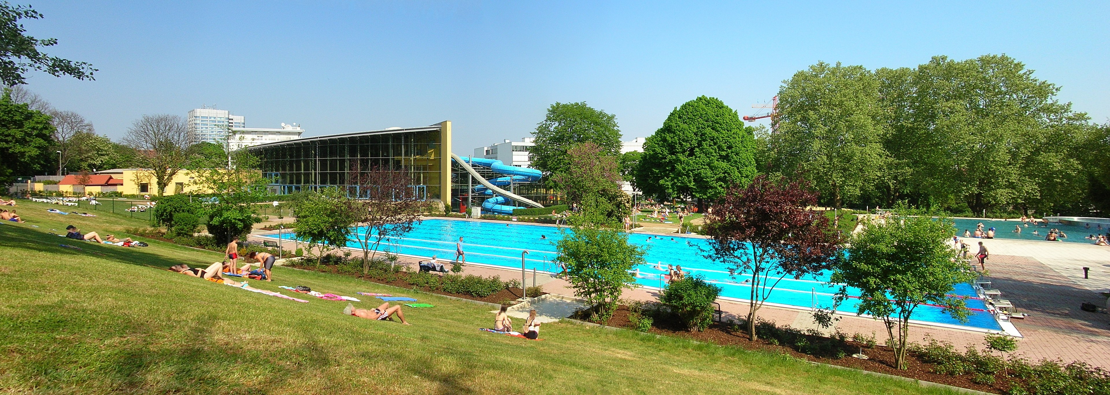 Großer rechteckiger Swimmingpool umgeben von grünem Gras und Bäumen, mit Menschen, die schwimmen und sonnenbaden unter einem klaren blauen Himmel, mit Gebäuden im Hintergrund.