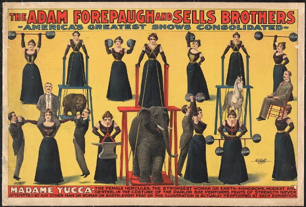 Plakat für "Adam Forepaugh und Sells Brothers, Americas Greatest Shows Consolidated" mit Performern auf Hockern und einem Elefanten in der Mitte sowie Werbetext.