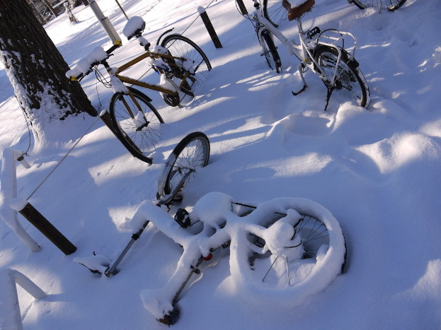 Eine Reihe von Fahrrädern teilweise im Schnee begraben neben einem Baumstamm und einer Straße.