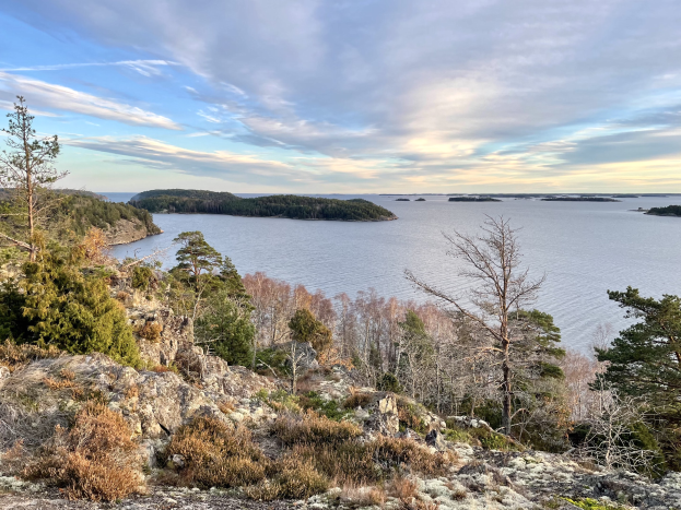 Panoramablick von einem Hügel aus auf einen See, mit Bäumen, Pflanzen und Felsen im Vordergrund und einem bewölkten Himmel im Hintergrund.