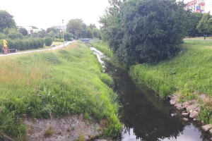 Ein kleiner Bach fließt durch eine grüne Wiese neben einer Straße, mit einer Person, die links ein Fahrrad fährt, und Bäumen, Pfählen, Gebäuden und einem klaren blauen Himmel im Hintergrund.