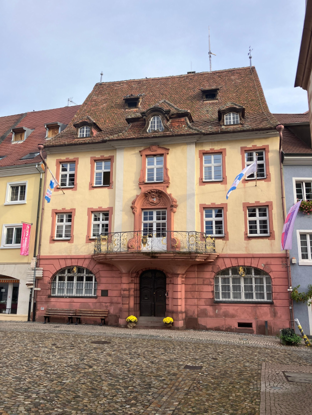 Eine Kopfsteinpflasterstraße in Heidelbergs altem Stadtkern mit farbenfrohen Gebäuden, die Fenster, Türen, Geländer und Fahnen aufweisen, mit Pflanzen und einer Bank im Vordergrund unter einem klaren blauen Himmel.