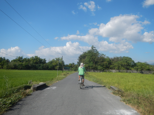Eine Radfahrerin mit Helm fährt auf einer Straße mit grünem Gras und Pflanzen, mit Bäumen, Masten, Dröhren, einer Wand und einem bewölktem Himmel im Hintergrund.