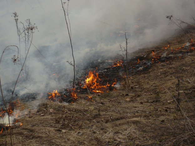 Verschreibung Feuer brennt in einem Grasfeld mit Rauch, der in den Himmel aufsteigt.