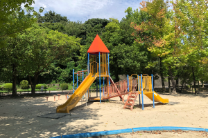 Ein Spielplatz mit einer gelben und blauen Rutsche in einem Park umgeben von Bäumen, Pflanzen und einem Zaun, mit einem bewölkten Himmel und sandigem Boden.